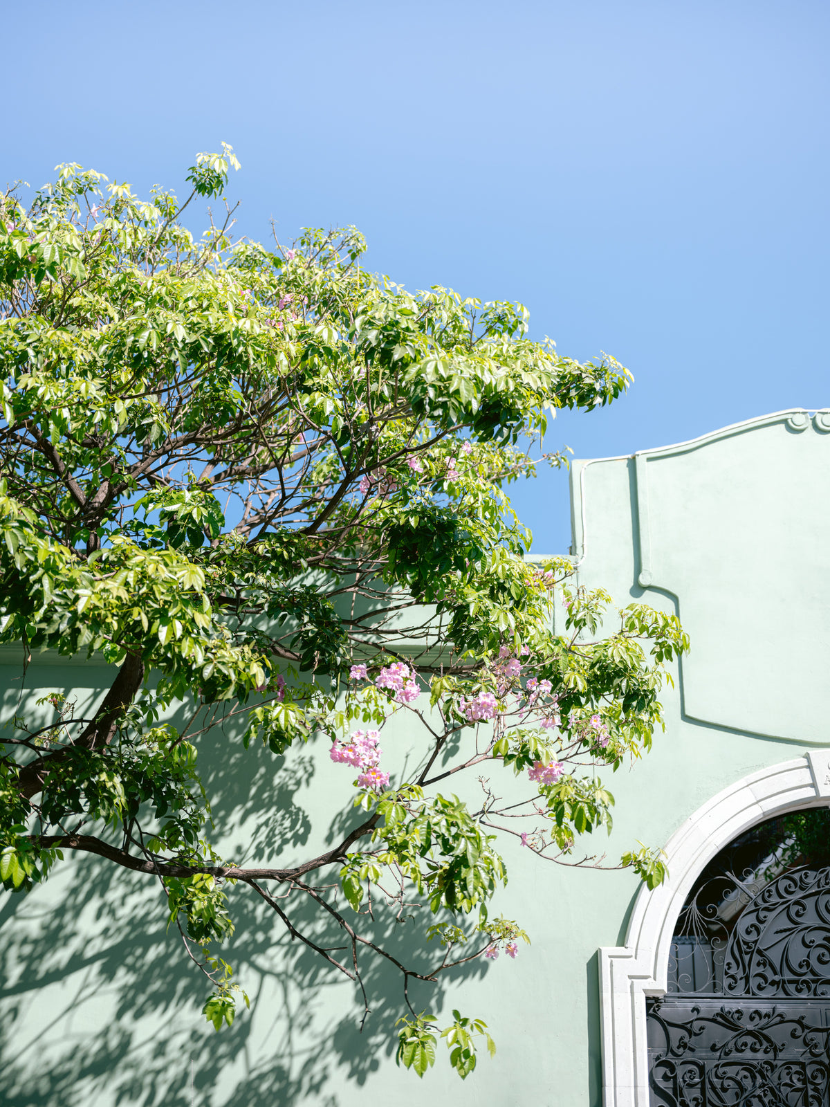 canvas-print-pastel-oaxaca-architecture-mexico-travel-photography