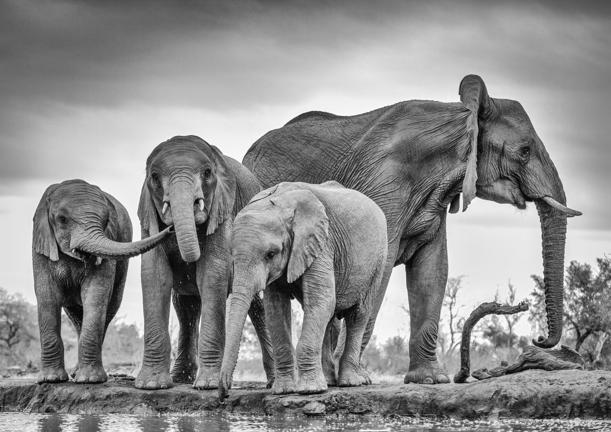 modern-4-piece-canvas-print-a-giant-unity-2