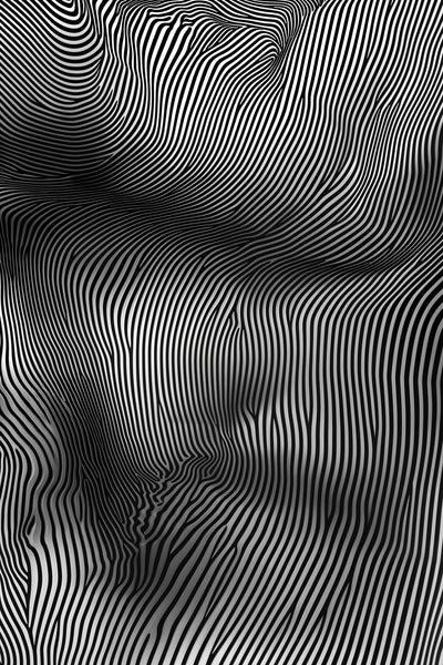 poster-print-zebra-curves