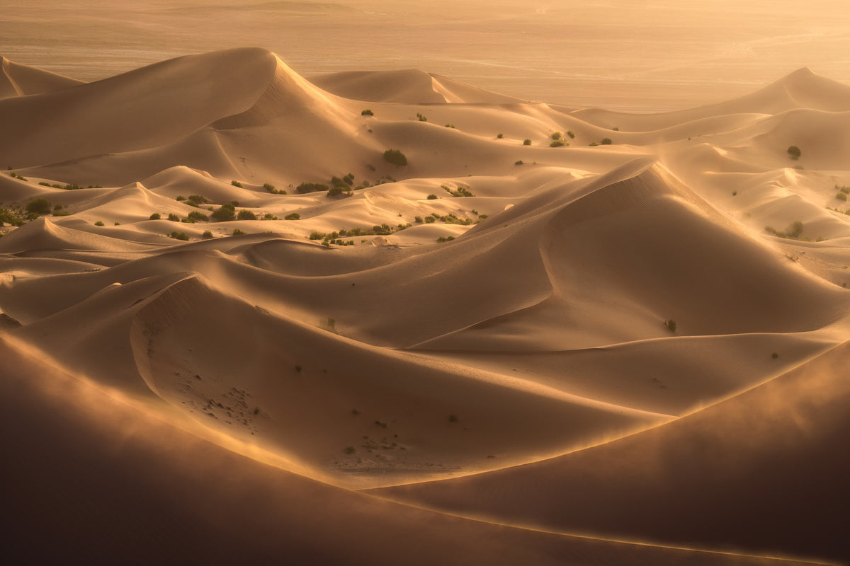 aluminium-print-dune-iii-2