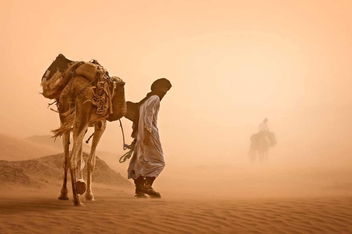 framedposter-print-sand-storm-x