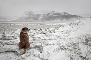 canvas-print-snowstorm-x