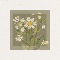 canvas-print-daisy-elegance