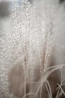 aluminium-print-grass-18