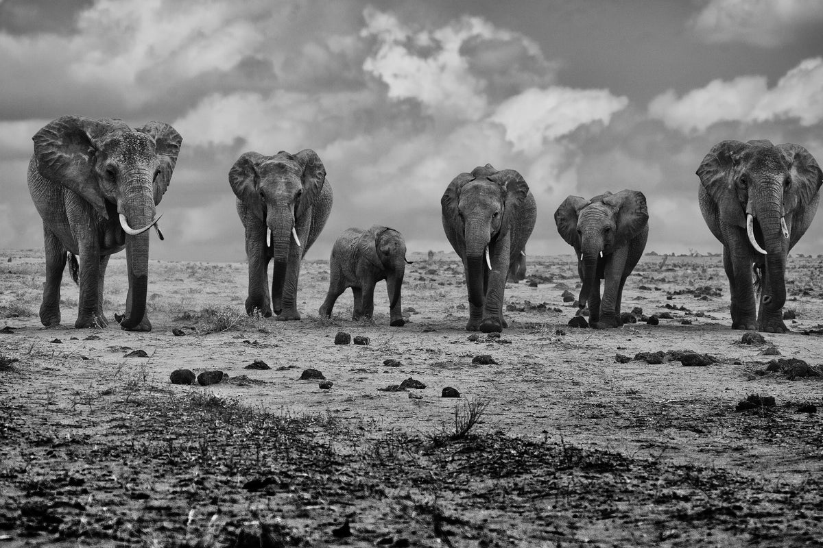 canvas-print-big-family