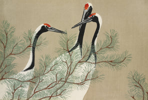 acrylic-print-cranes-from-momoyogusa-2