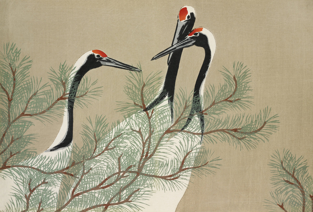 acrylic-print-cranes-from-momoyogusa-2
