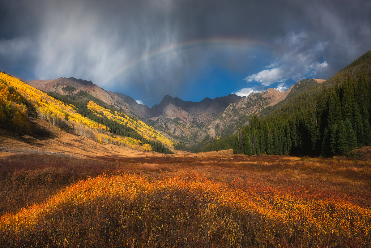 framedposter-print-double-rainbow