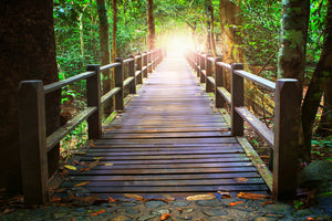 modern-3-piece-acrylic-print-the-bridge-in-the-forest