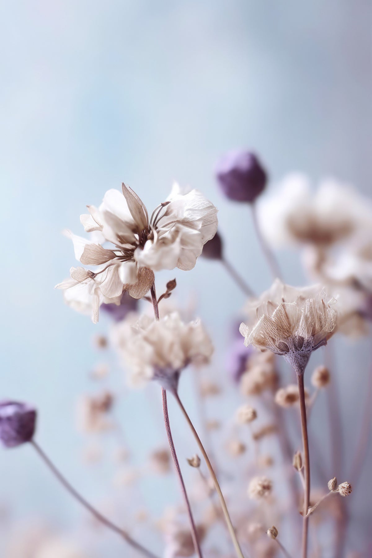 poster-print-whispering-blooms-3