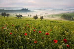 3-piece-canvas-print-tuscan-spring