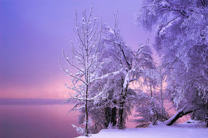 aluminium-print-stillness-2