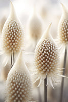 framedcanvas-print-whimsical-floraforms