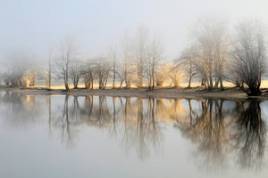 framedposter-print-january-morning