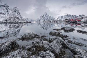 aluminium-print-reine-x