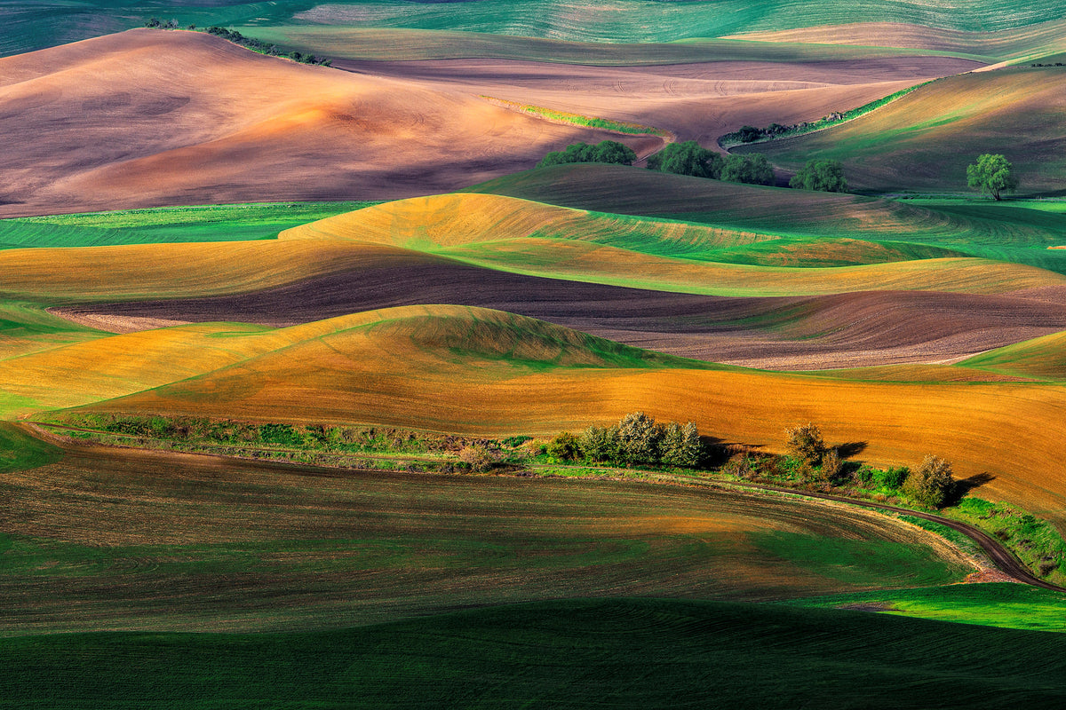 framedposter-print-the-palouse
