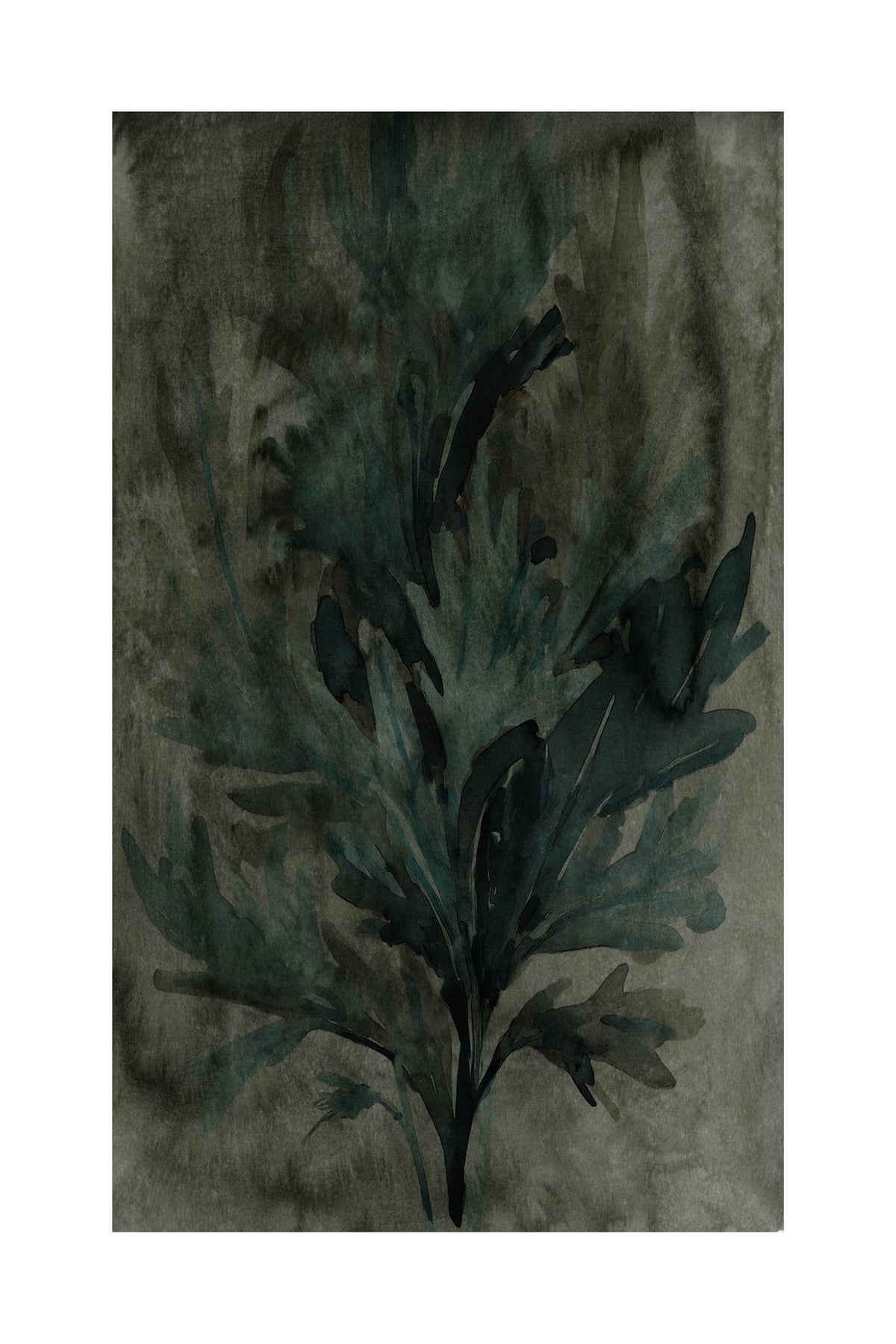 canvas-print-deepwater-bloom-2