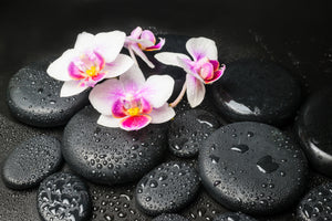 aluminium-print-feng-shui-orchid-zen