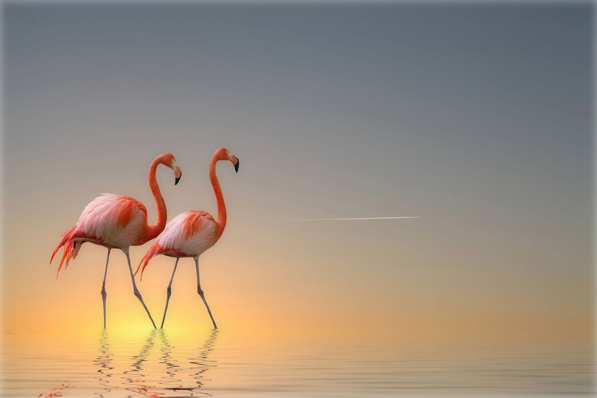 3-piece-canvas-print-serenity-ii