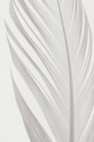 aluminium-print-feather-006