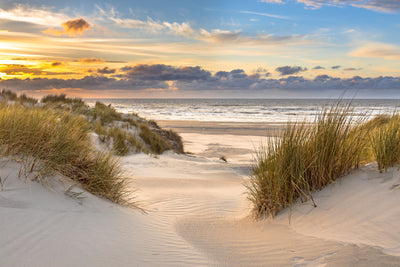 poster-print-view-from-dune-top-over-north-sea