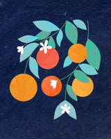 acrylic-print-oranges-bloom