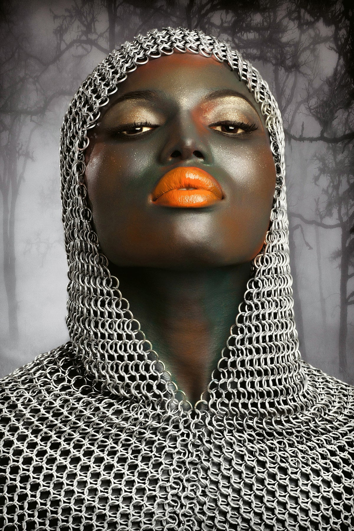 framedposter-print-the-warrior
