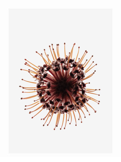 poster-print-pin-cushion