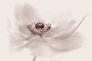 canvas-print-nostalgia-3