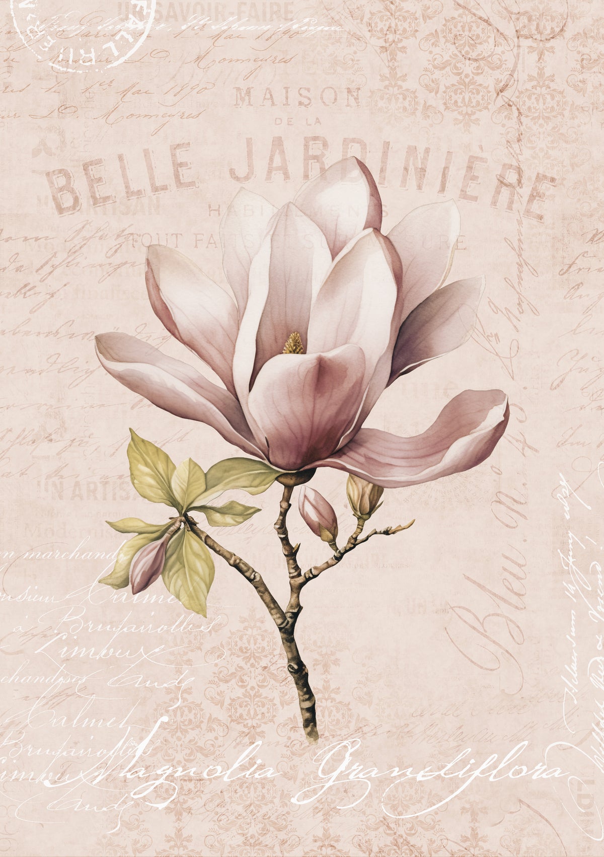 aluminium-print-magnolia-blush-no2
