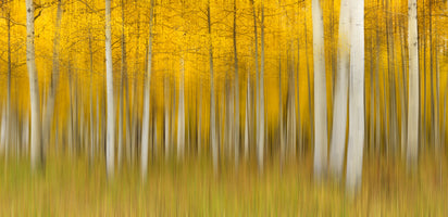 canvas-print-autumn-dream-4