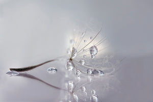 aluminium-print-silver-x