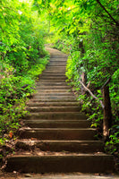 framedposter-print-wood-stairs