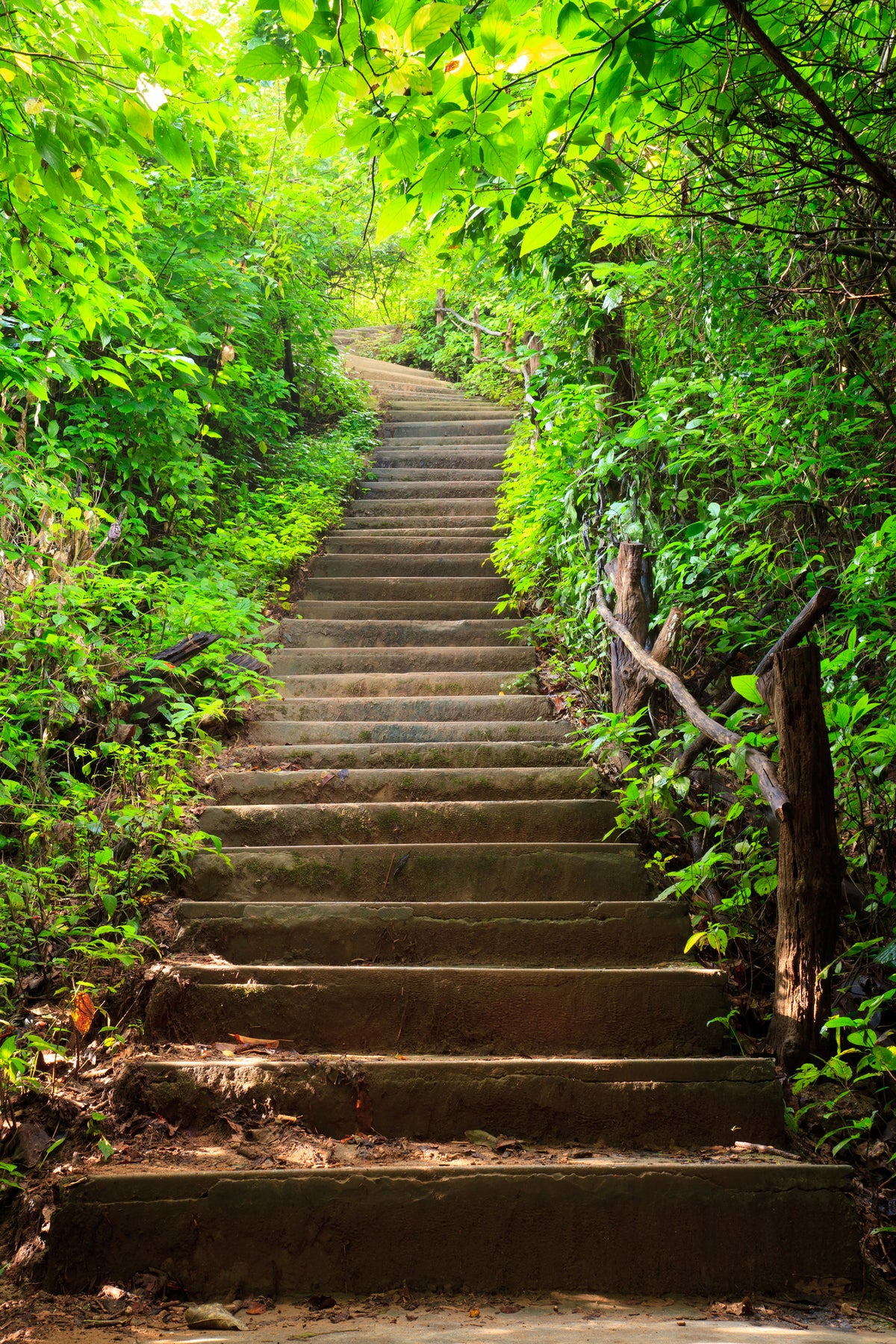 framedposter-print-wood-stairs