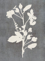 framedcanvas-print-botanical-illustration-6