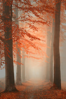 acrylic-print-autumn-dream-6