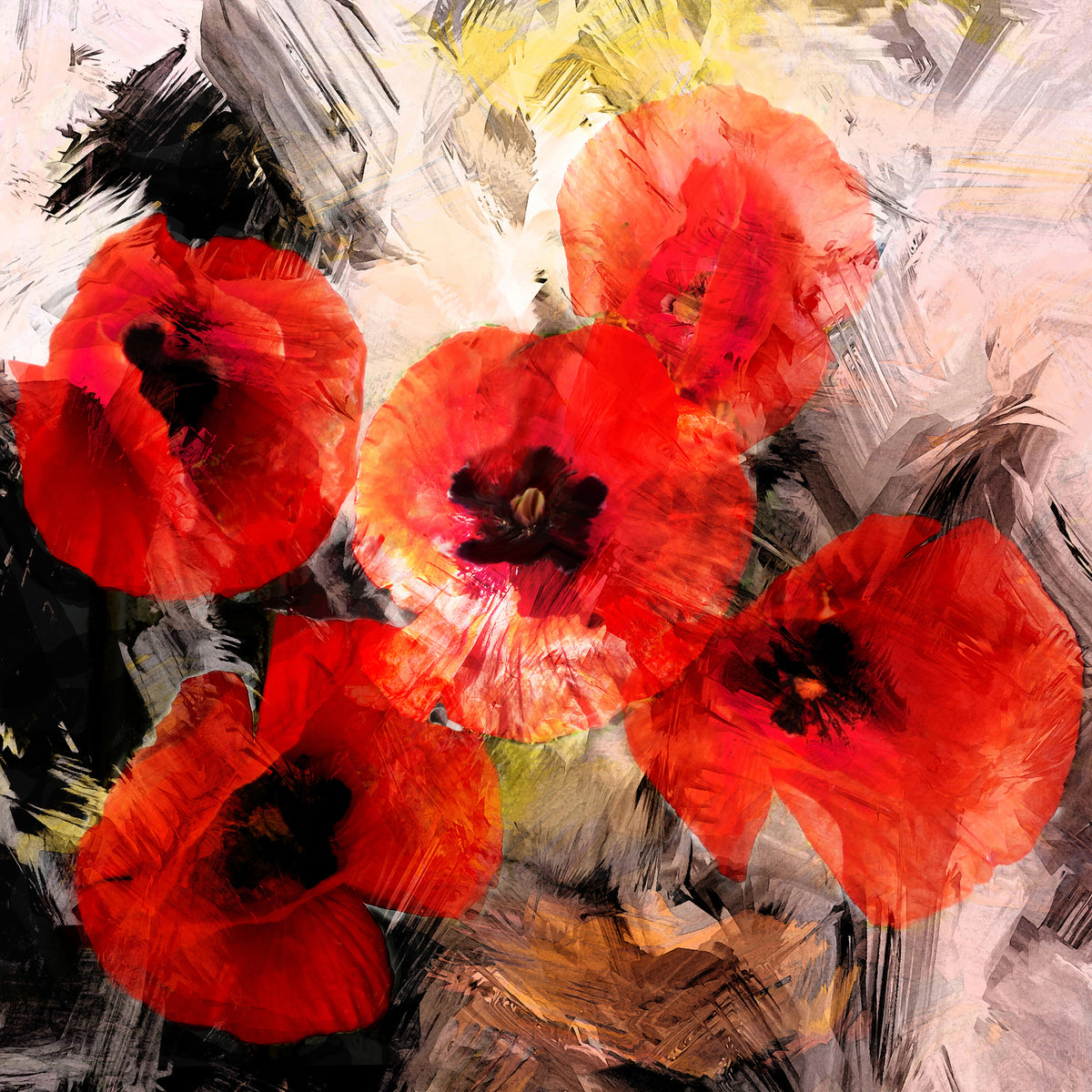 9-piece-acrylic-print-poppy-portrayal
