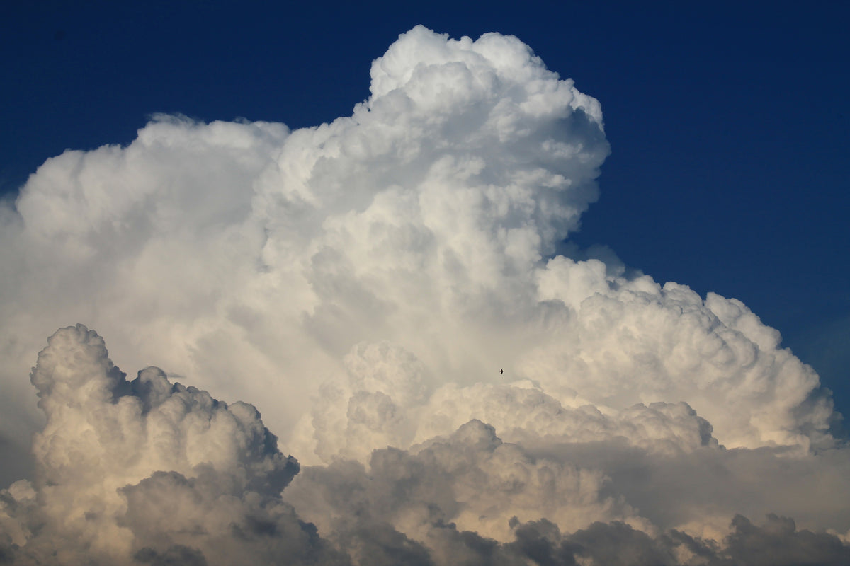 canvas-print-the-cumulus-cloud