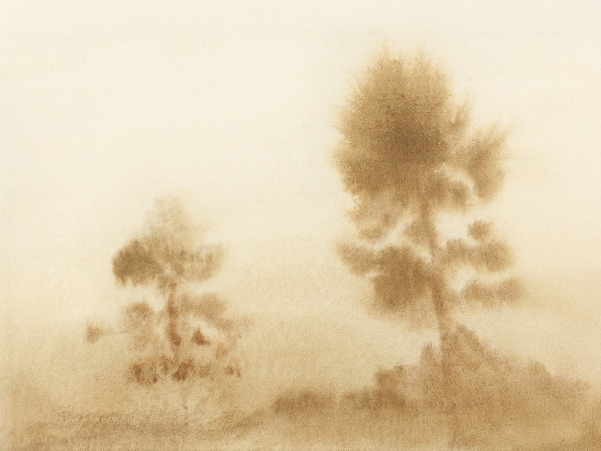 canvas-print-misty-meadow