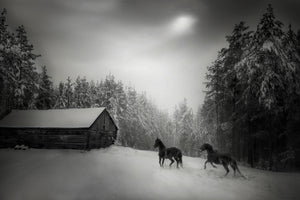 aluminium-print-untitled-xpe