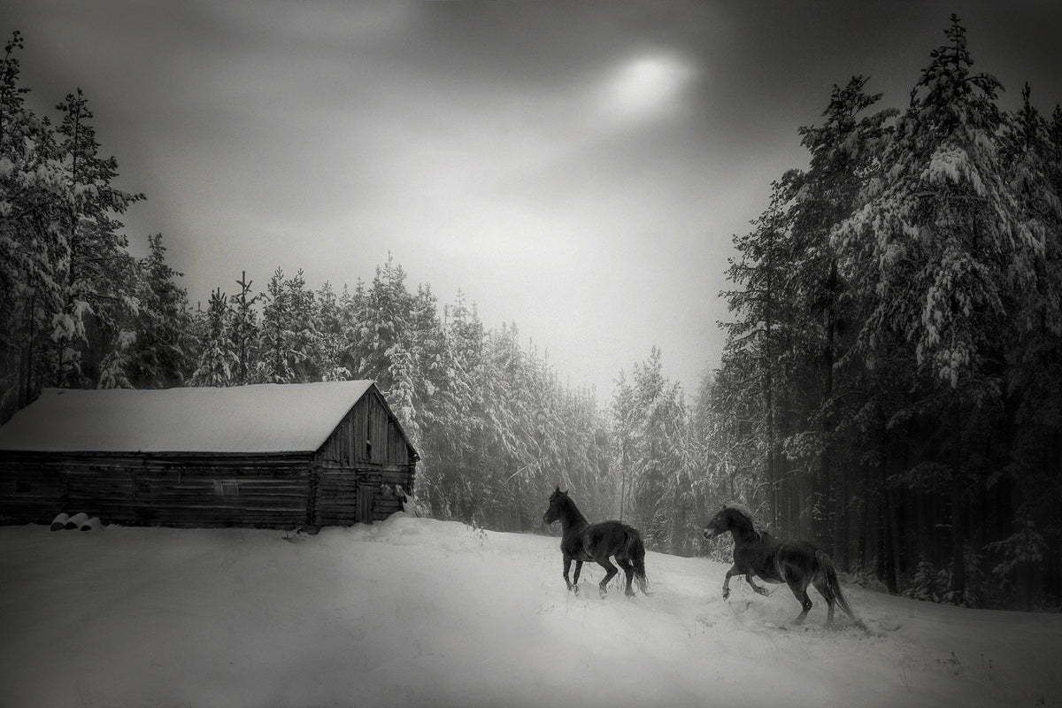 aluminium-print-untitled-xpe