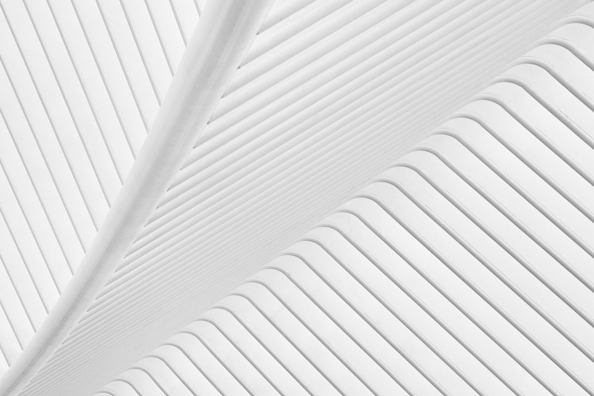 framedposter-print-canopy