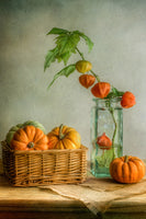 framedposter-print-autumn-xqk