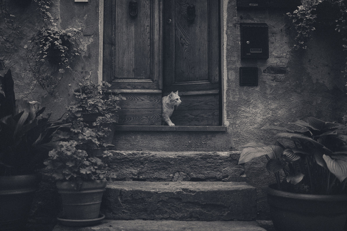 acrylic-print-awaiting-guests-x