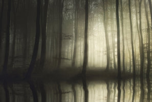 3-piece-canvas-print-absolute-silence