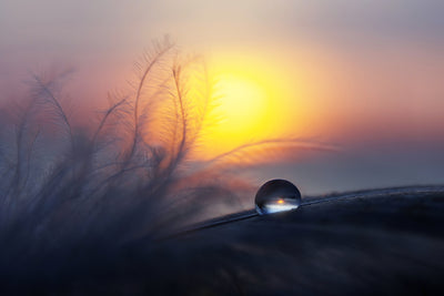 poster-print-morning-2