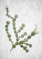 framedposter-print-this-minimalist-artwork