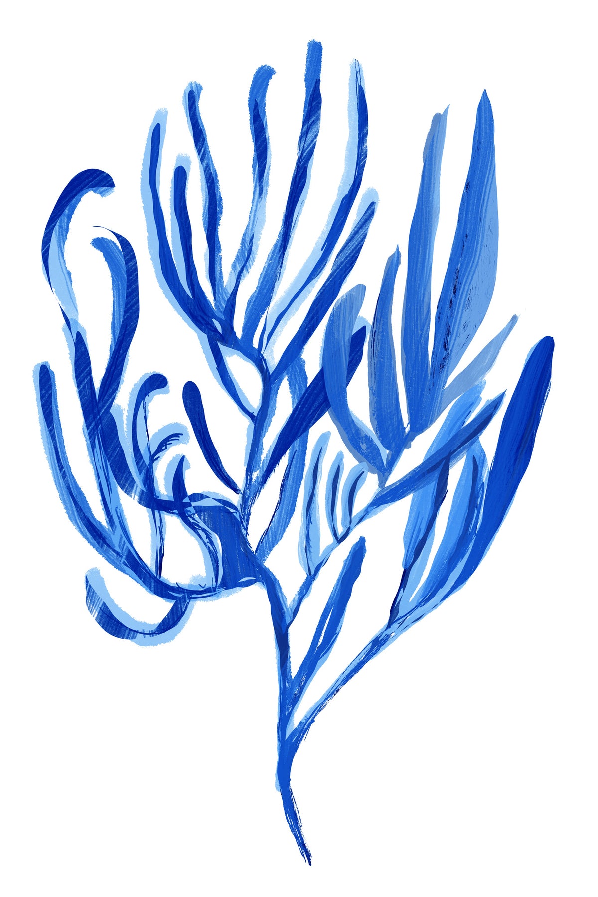 canvas-print-blue-aquatic-plant-poster-4