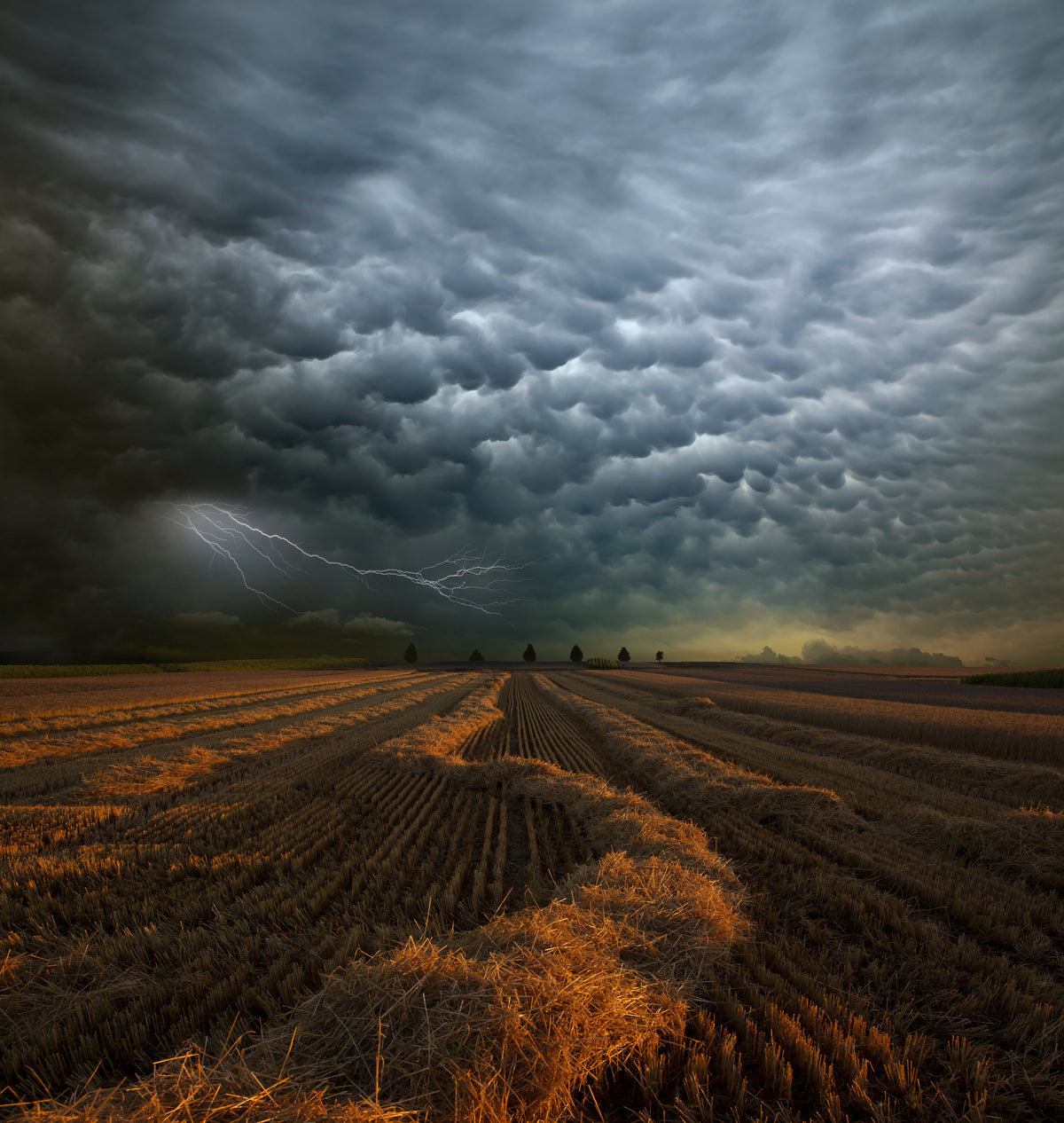 poster-print-mammatus-2