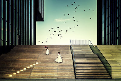 poster-print-free-like-a-bird